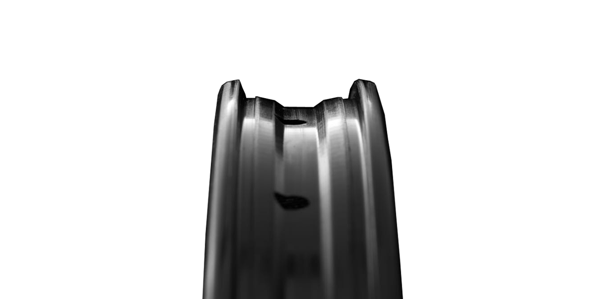 SAFEWING 30 EN wheelset